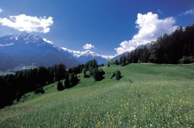 Landschap Karinthië